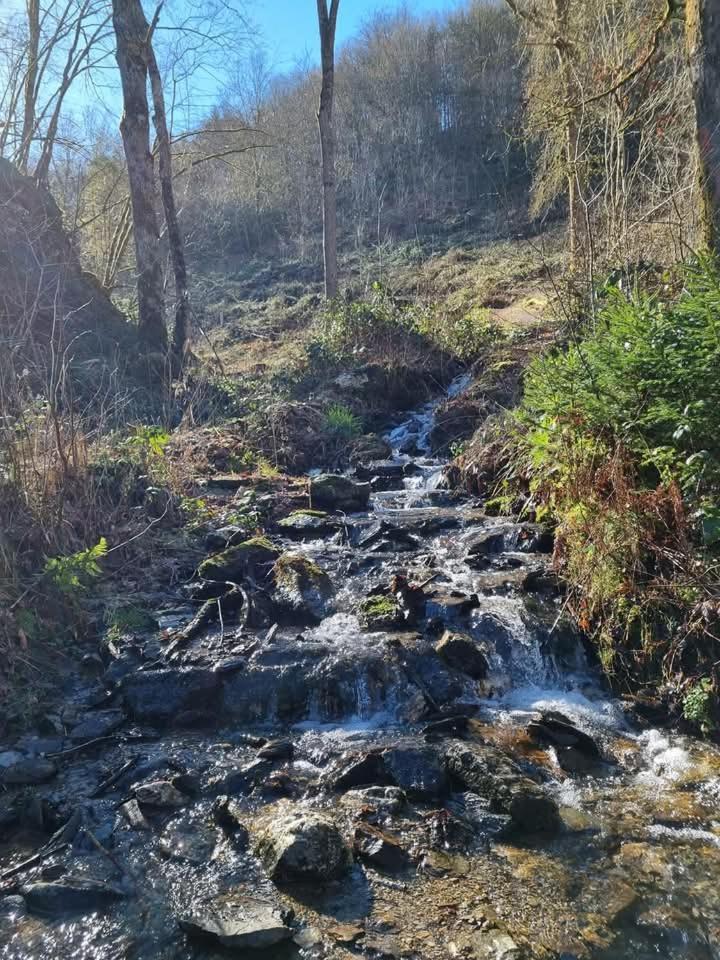 Au Vieux Lavoir Але Экстерьер фото